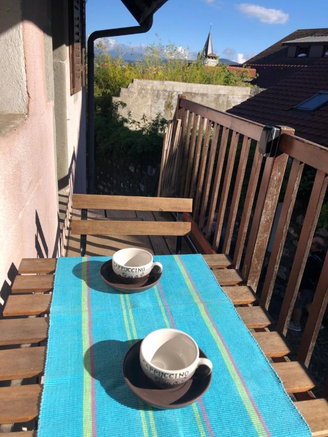 Appartement Dans La Vieille Ville, En Face Du Chateau Annecy Exteriér fotografie